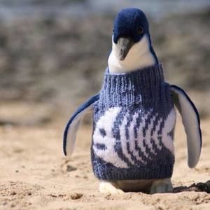 Meet your Posher, Holden